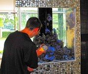 polishing aquariums